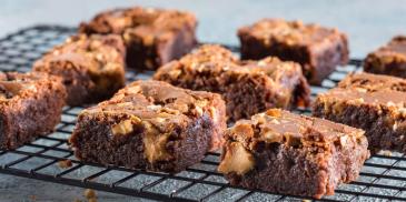 https://www.bishulim.co.il/sites/default/files/styles/ln_search_recipe_resultdesktop/public/srh_recipes/045590598766f39b8ccf5cb02d013d0e.jpg?h=f11a1380&itok=sFTsFbov