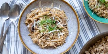https://www.bishulim.co.il/sites/default/files/styles/ln_search_recipe_resultdesktop/public/srh_recipes/4085b8320887643678ba4909ccaffb58.jpg?h=1904b0a8&itok=_E88HUAZ